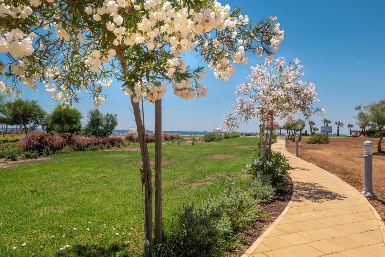 Thalassa Beach Resort & Spa Retreat Vokolidha Zewnętrze zdjęcie